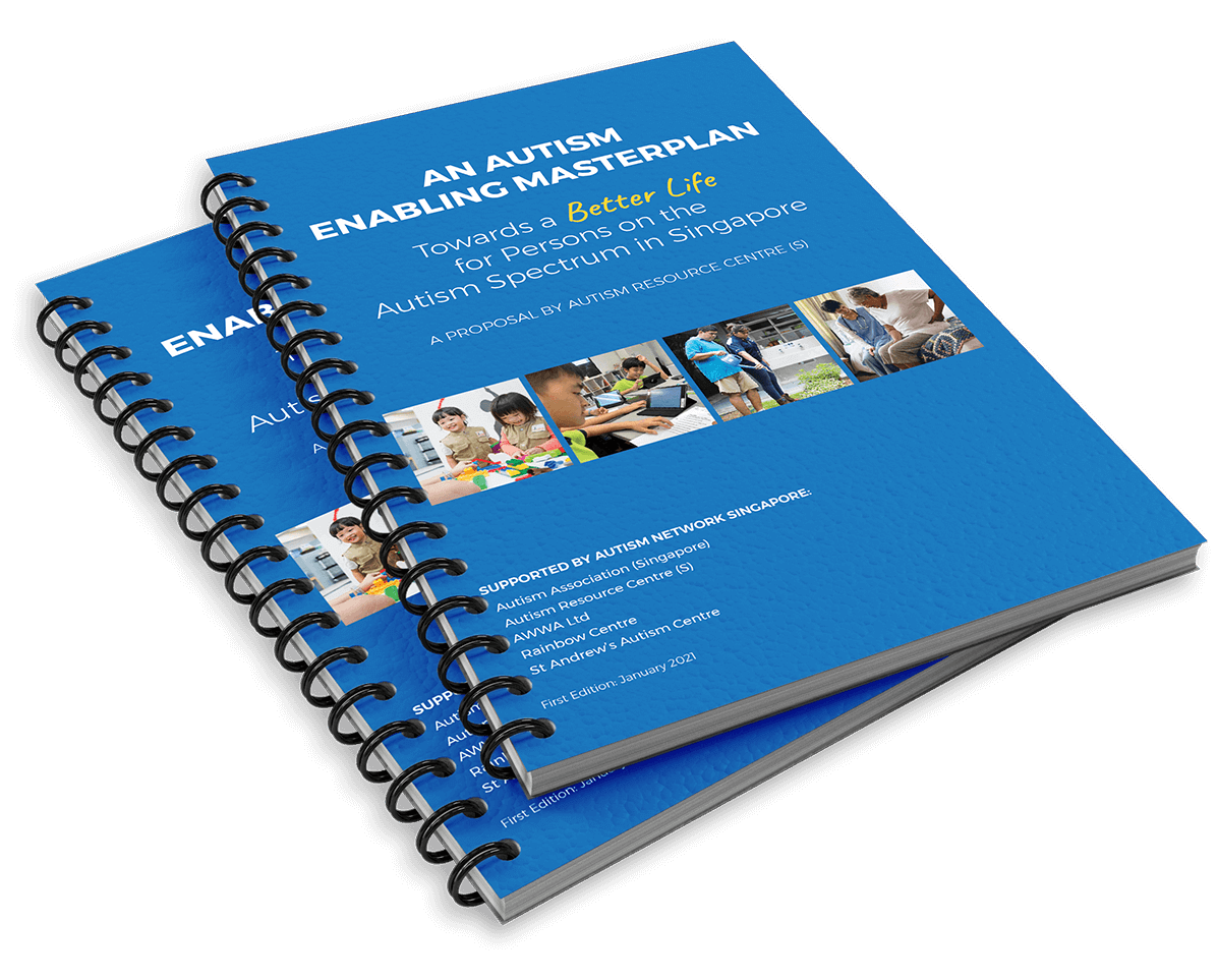 Autism Enabling Plan Report